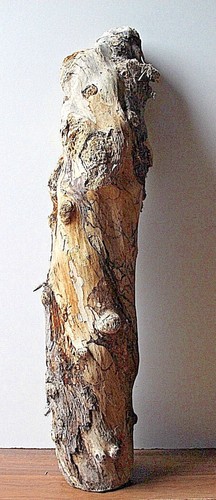 Treibholz schwemmholz xl - schwemmholz,