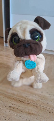 Spielzeug hund mit - spielzeug,