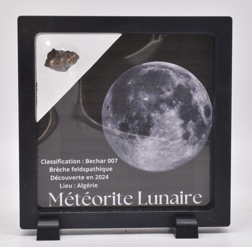 Mondmeteorit bechar 007 - mondmeteorit,