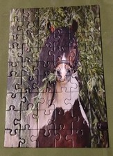 Ravensburger Altes Mini Puzzle Pferd 2010 - Komplett - 54 Teile