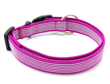 Gummiertes Hunde Halsband