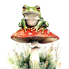 Wandbild Frosch Fliegenpilz
