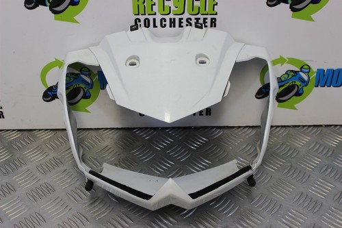 Kawasaki 1000 panel - kawasaki,