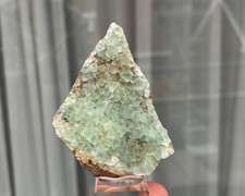 🎬 Fluorit, Mina Berta, Al