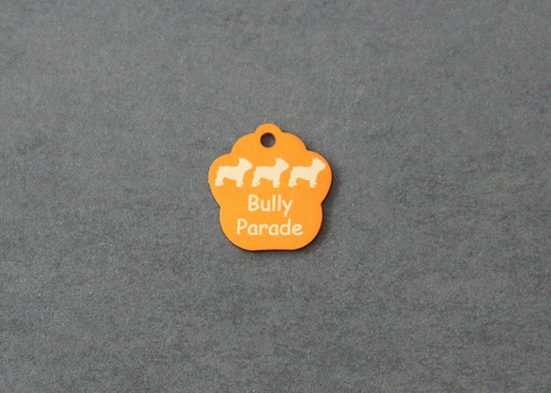 Hundemarke mit gravur - mit,