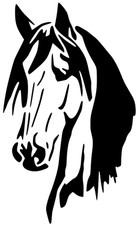 15 Tier Pferd Katze Hund Eule