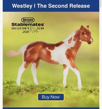 Westley breyer stablemate club - westley,