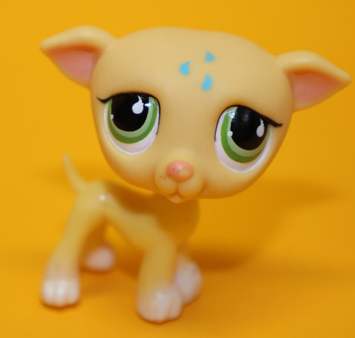 Hasbro littlest pet - hasbro,