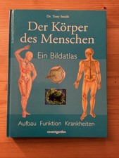 Der Körper des Menschen –