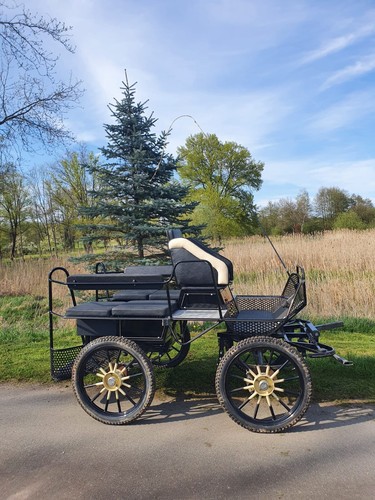 Wagonette kutsche rohlfs - wagonette,