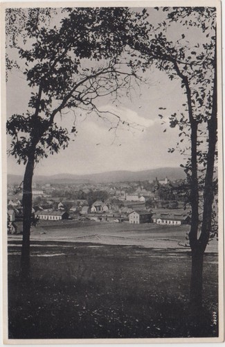 290 böhmen leipa 1942 - 290,