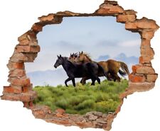 Wandtattoo Pferde auf der