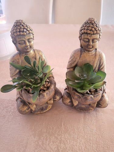 Buddha mit kunstpflanze - ,