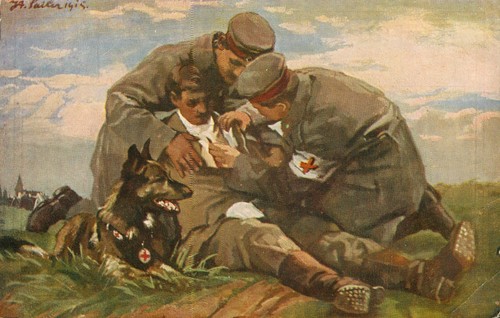 Der sanitätshund felde - der, im