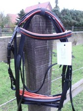 Schicke Trense aus Leder  Top