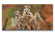 120x60cm Leinwandbild