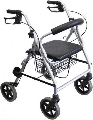 Trendmobile lr56 gehwagen - lr56,