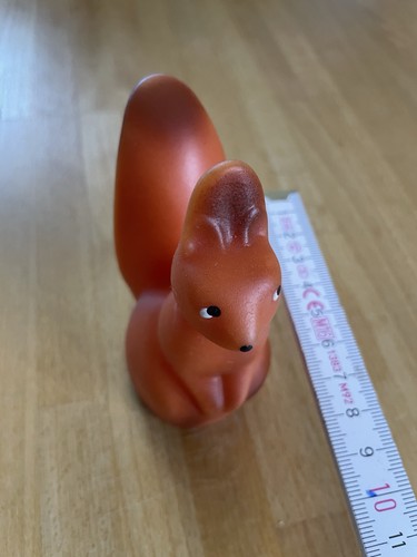 Eichhörnchen quietschtier - eichhörnchen,
