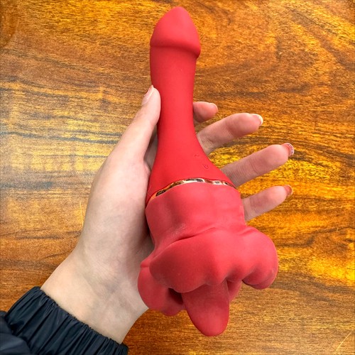 Vibrator lecken zunge klitoris - lecken,