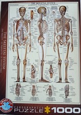EUROGRAPHICS PUZZLE 1000 Teile the Skeletal System Knochensystem Anatomie 48x68