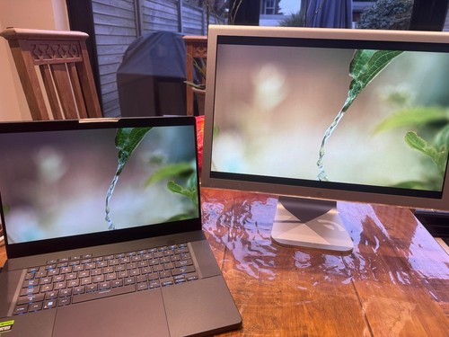 Apple a1081 cinema display - apple, 20"