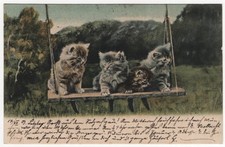 AK Tiere,  4 kleine Katzen sitzen auf Schaukel