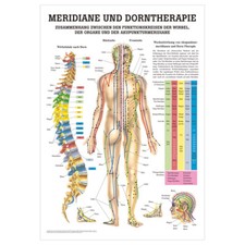 Meridiane u. Dorn Mini-Poster
