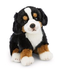 Kuscheltier Hund Berner Sennenhund, NICI, 62603 Plüschtier Stofftier