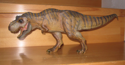 Nanmu tyrannosaurus rex future - tyrannosaurus,
