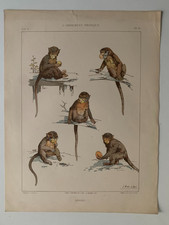 J.HABERT-DYS CHROMOLITHOGRAPHY