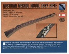 Austrian Werndl Model 1867