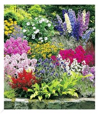 Buntes Staudenbeet