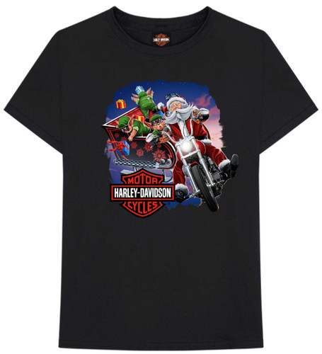 Harley davidson sleigh ride - davidson,