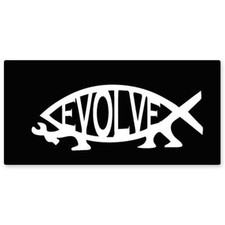 Autoaufkleber evolve fish - autoaufkleber,