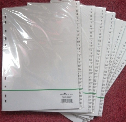Register 31 plastik - a4, 1-31