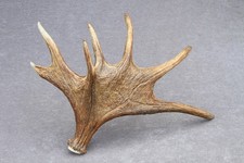 NATÜRLICH ABGEWORFENES WILDES