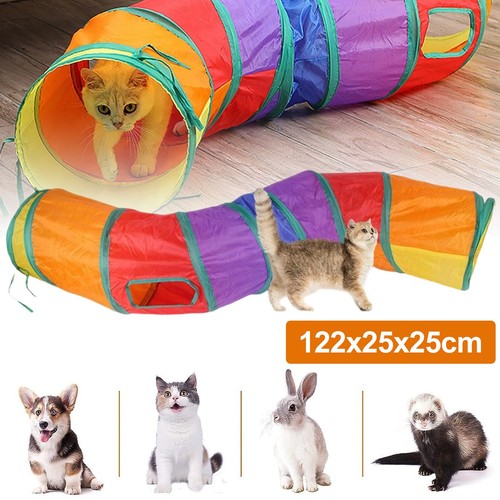 Katzentunnel katze haustier - katze,