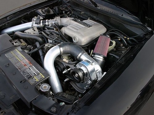 Mustang cobra procharger - mustang,