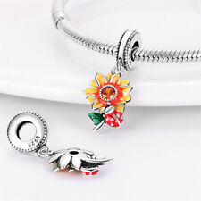 Sonnenblume Marienkäfer