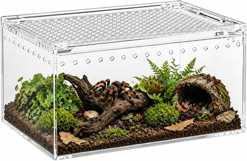 Mini terrarium aus - mini,