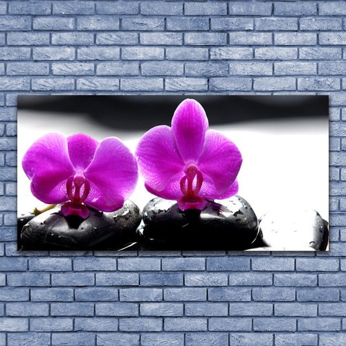 Acrylglasbilder wandbilder aus - acrylglasbilder,