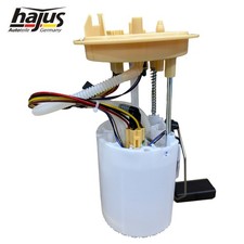 Hajus