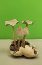 Vintage Holz-geschnittene Pilzen 