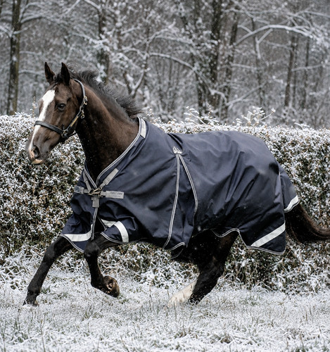 Horseware rambo optimo - horseware, rambo®