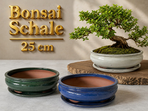 Bonsaitopf bonsaischale oval - bonsaitopf,