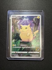 Pokémon TCG Chinese |