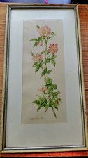 Altes, Gerahmtes Aquarell