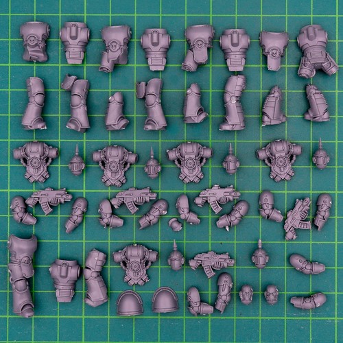 Taktischer space marines - marines, typ