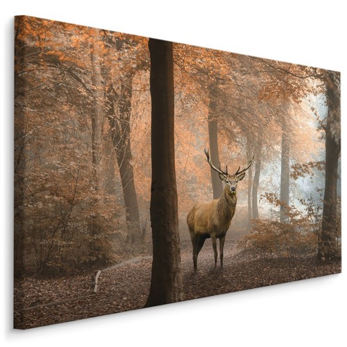 Canvas leinwand bilder xxl - leinwand,