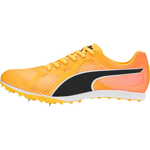 Puma evospeed crossfox cross - crossfox, 4